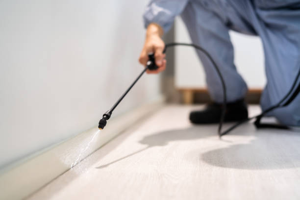 Professional exterminator conducting IPM assessment in Le Claire